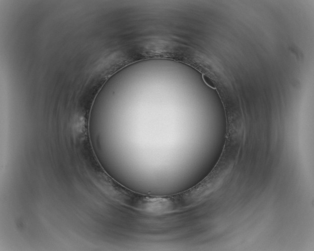 X0000111850087200907231437