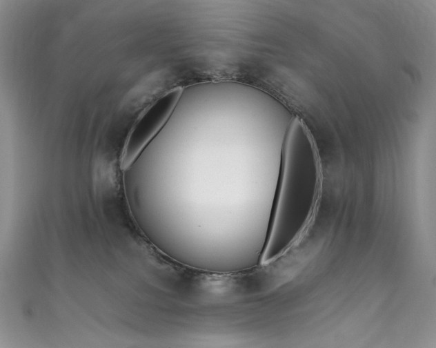 X0000111850088200907231437