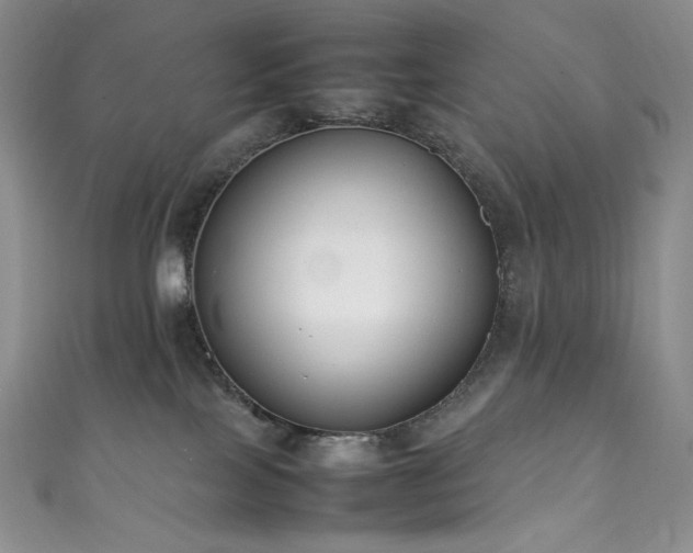X0000111850089200907231437