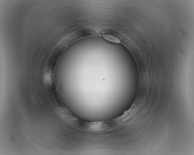 X0000111850090200907231437