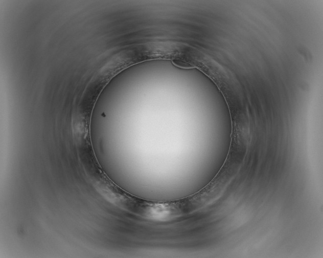 X0000111850091200907231437