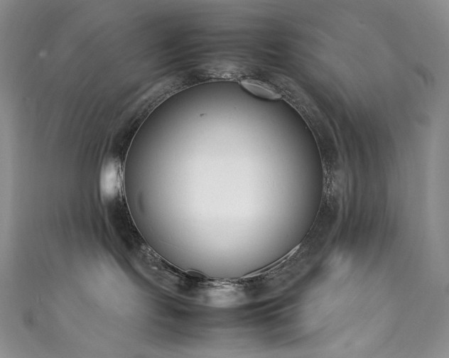 X0000111850095200907231437