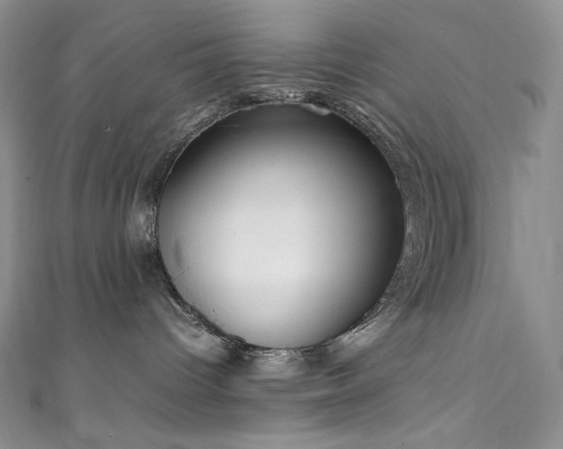 X0000111850096200907231437