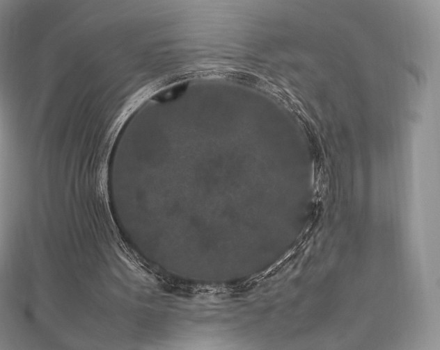 X0000111850099200907231437