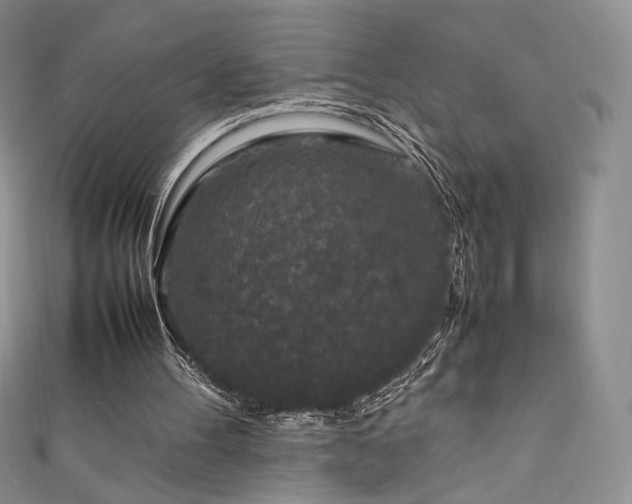 X0000111850100200907231437