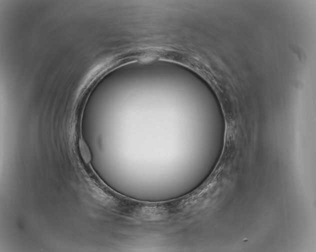 X0000111850101200907231437