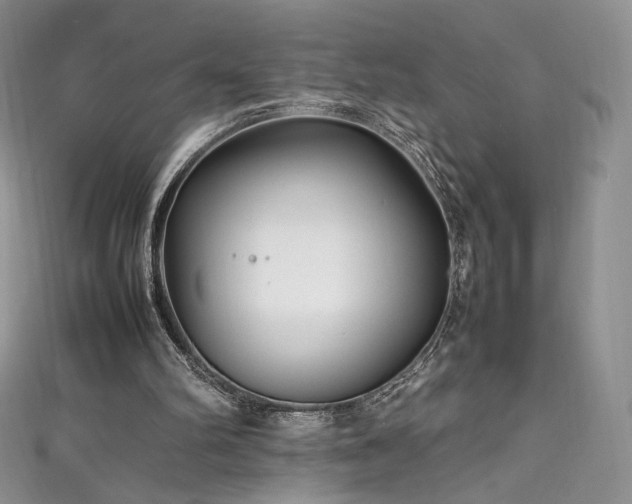 X0000111850102200907231437
