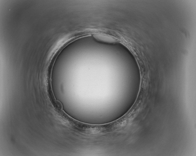 X0000111850103200907231437