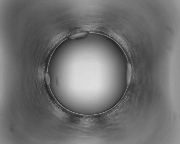 X0000111850105200907231437