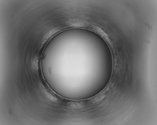 X0000111850106200907231437