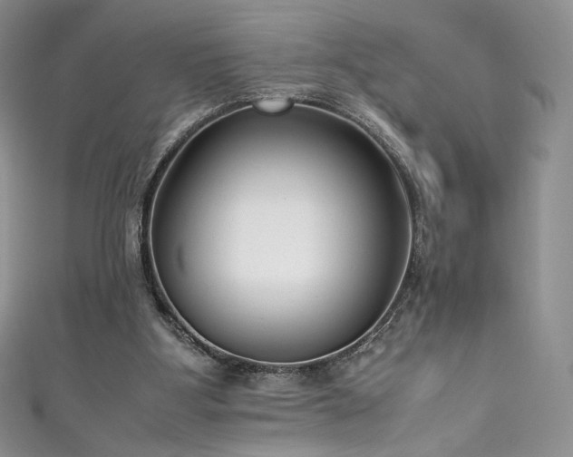 X0000111850107200907231437