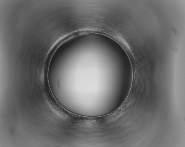X0000111850108200907231436