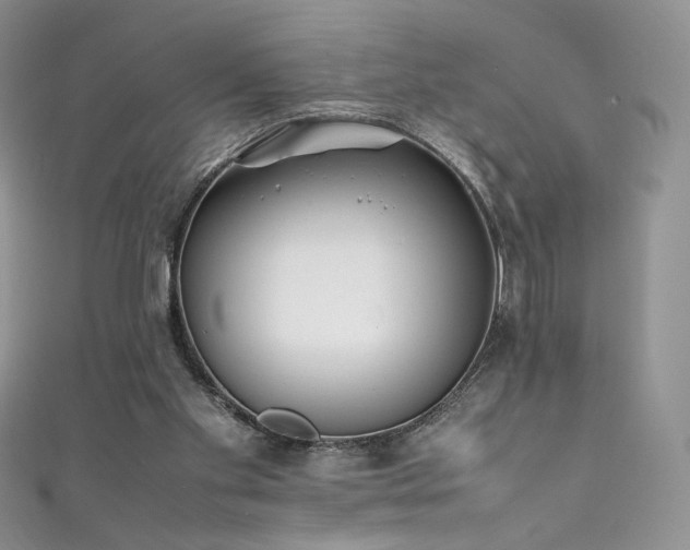 X0000111850109200907231436