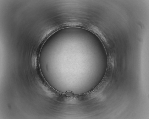 X0000111850110200907231436