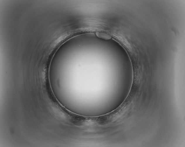 X0000111850111200907231436