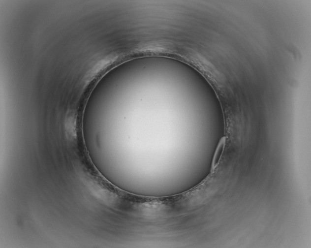 X0000111850112200907231436