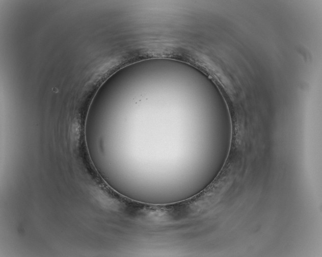 X0000111850113200907231436