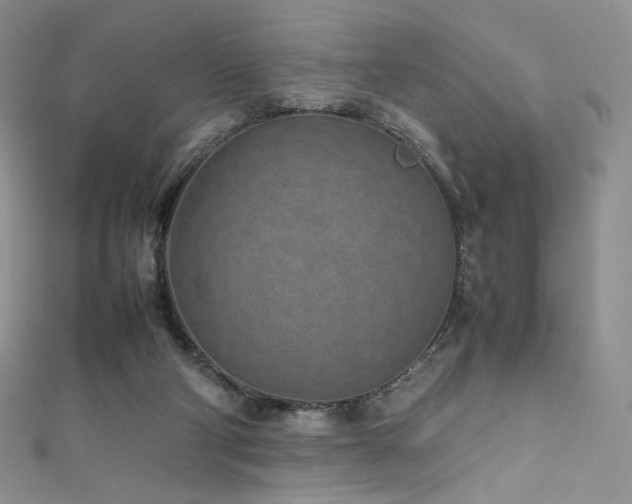 X0000111850114200907231436