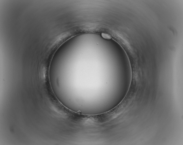X0000111850115200907231436