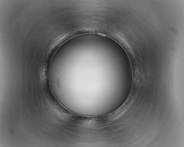 X0000111850116200907231436
