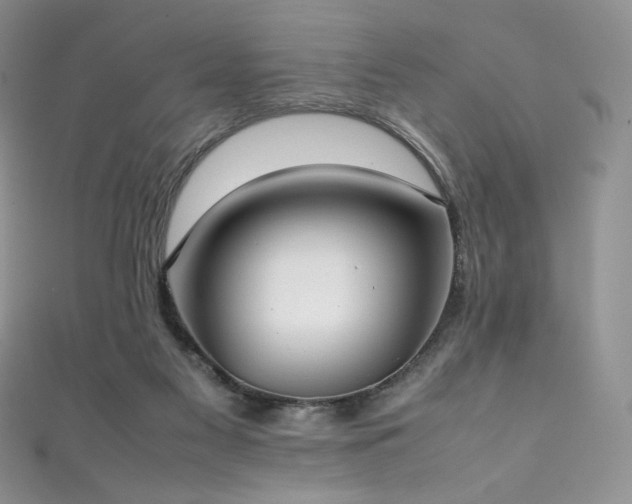 X0000111850117200907231436