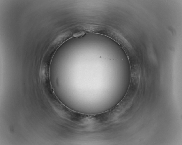 X0000111850119200907231436