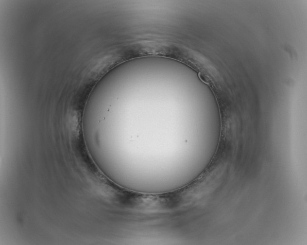 X0000111850121200907231436