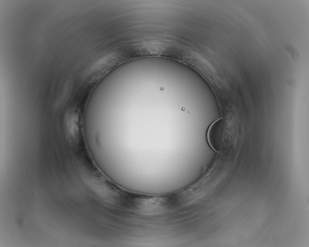 X0000111850122200907231436