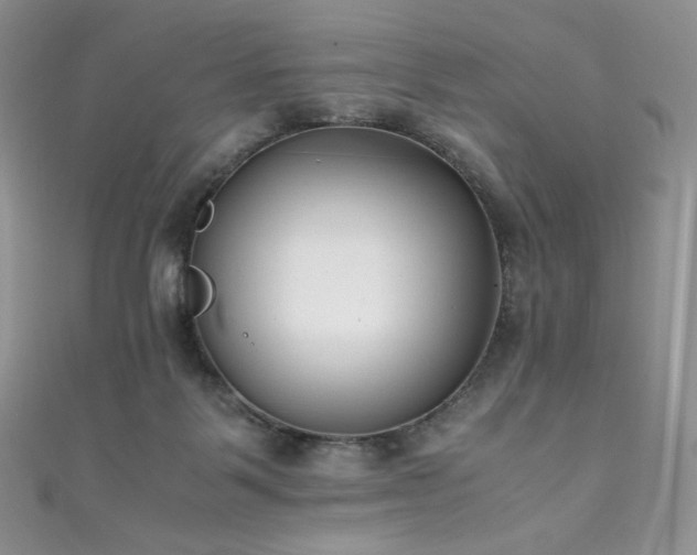 X0000111850123200907231436