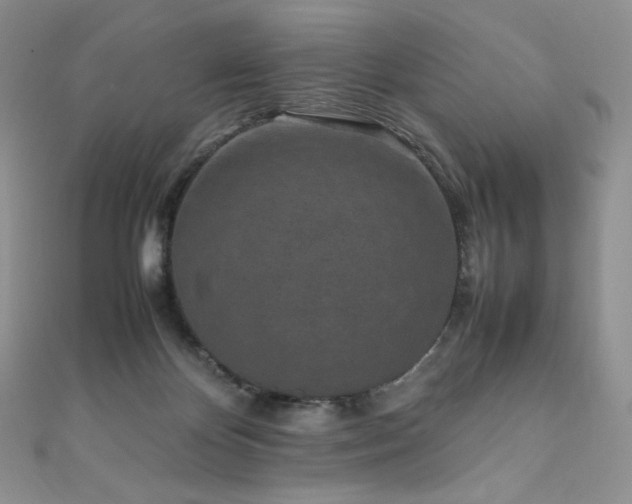 X0000111850124200907231436