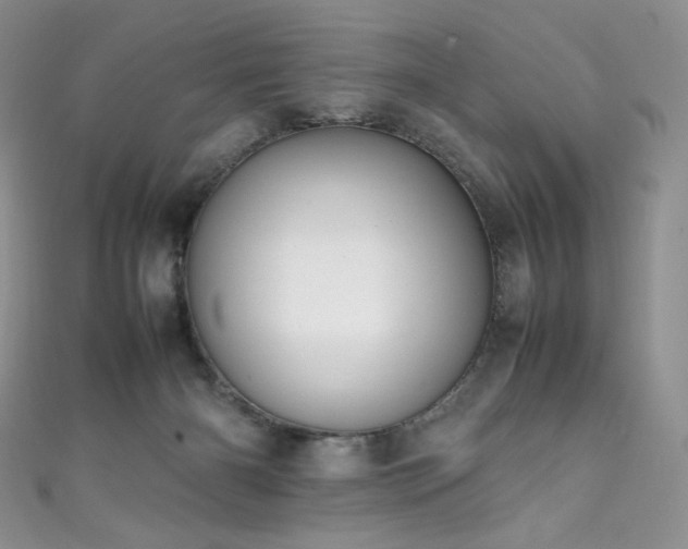 X0000111850126200907231436