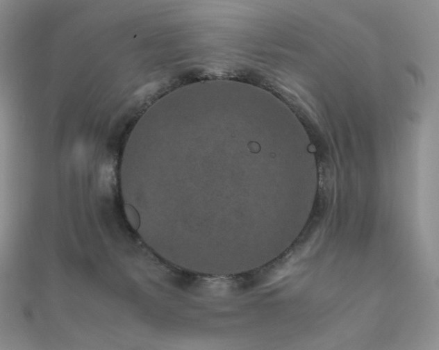 X0000111850127200907231436