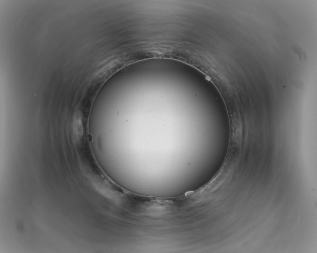 X0000111850128200907231436