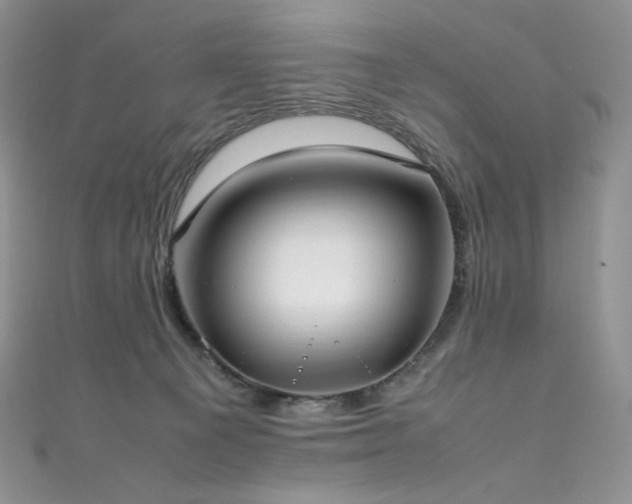 X0000111850129200907231436