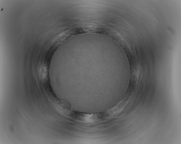 X0000111850130200907231436