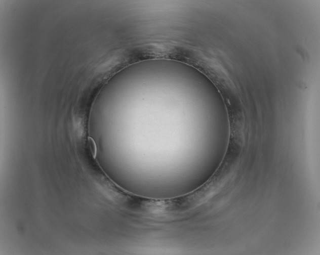 X0000111850131200907231436