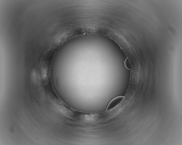 X0000111850134200907231436