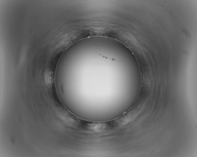 X0000111850135200907231436