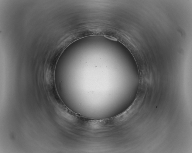 X0000111850136200907231436