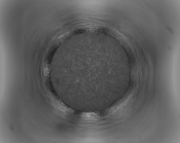 X0000111850137200907231436