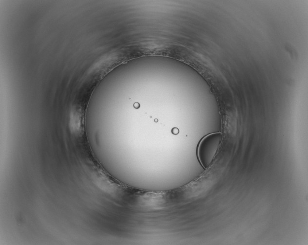 X0000111850138200907231436