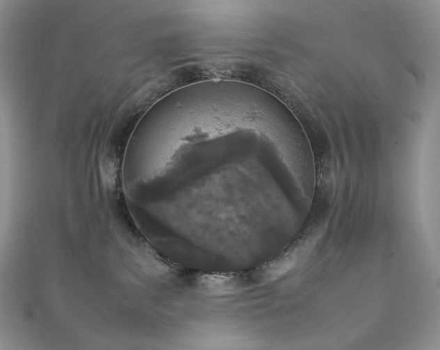 X0000111850139200907231436