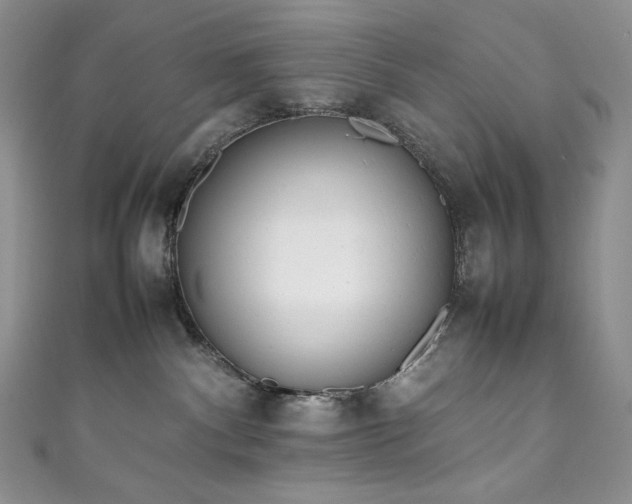 X0000111850140200907231436