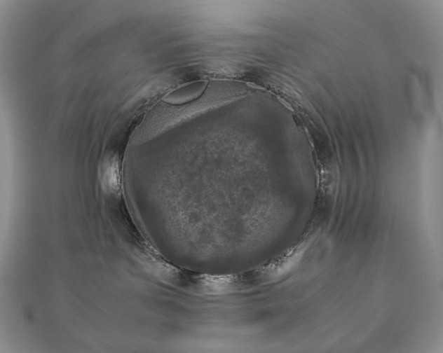 X0000111850143200907231436