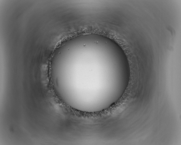 X0000111850144200907231436
