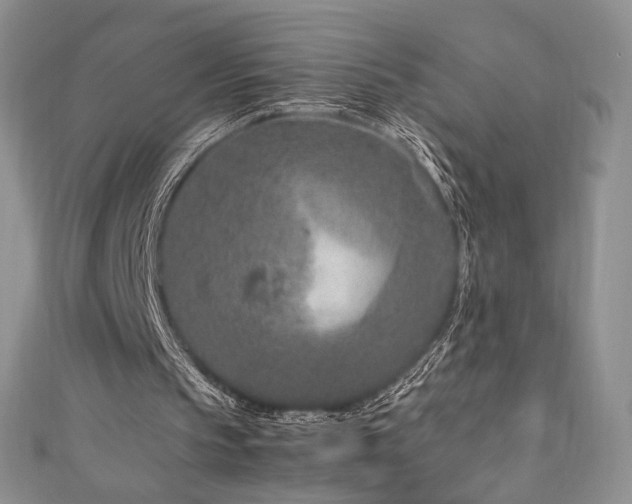 X0000111850145200907231435