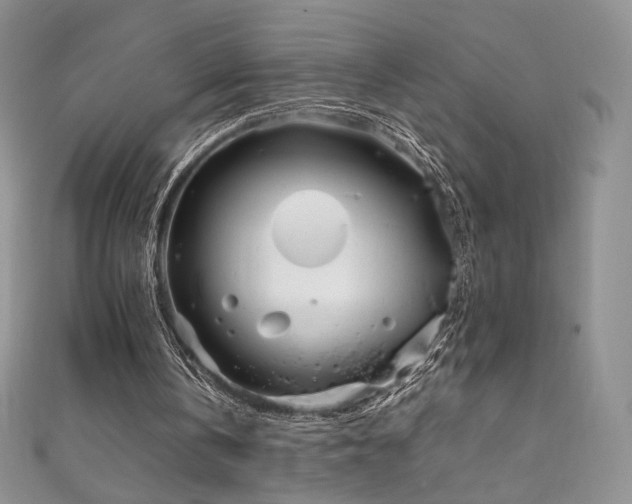 X0000111850146200907231435