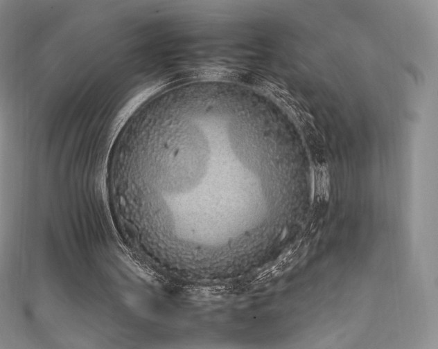 X0000111850147200907231435