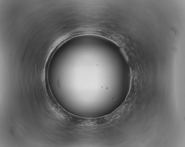 X0000111850148200907231435