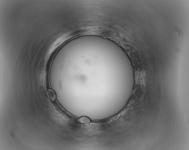 X0000111850150200907231435